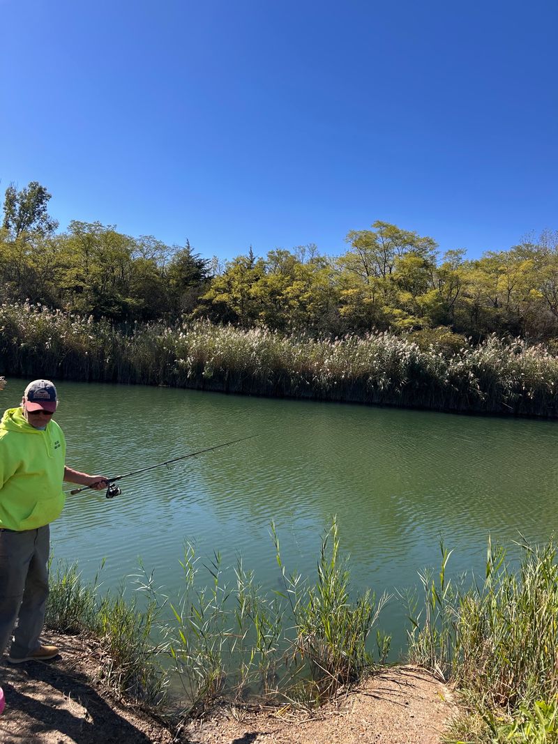 Lakes, Ponds, and a Cheer-Worthy Catfish Lakes, Ponds, and a Cheer-Worthy Catfish