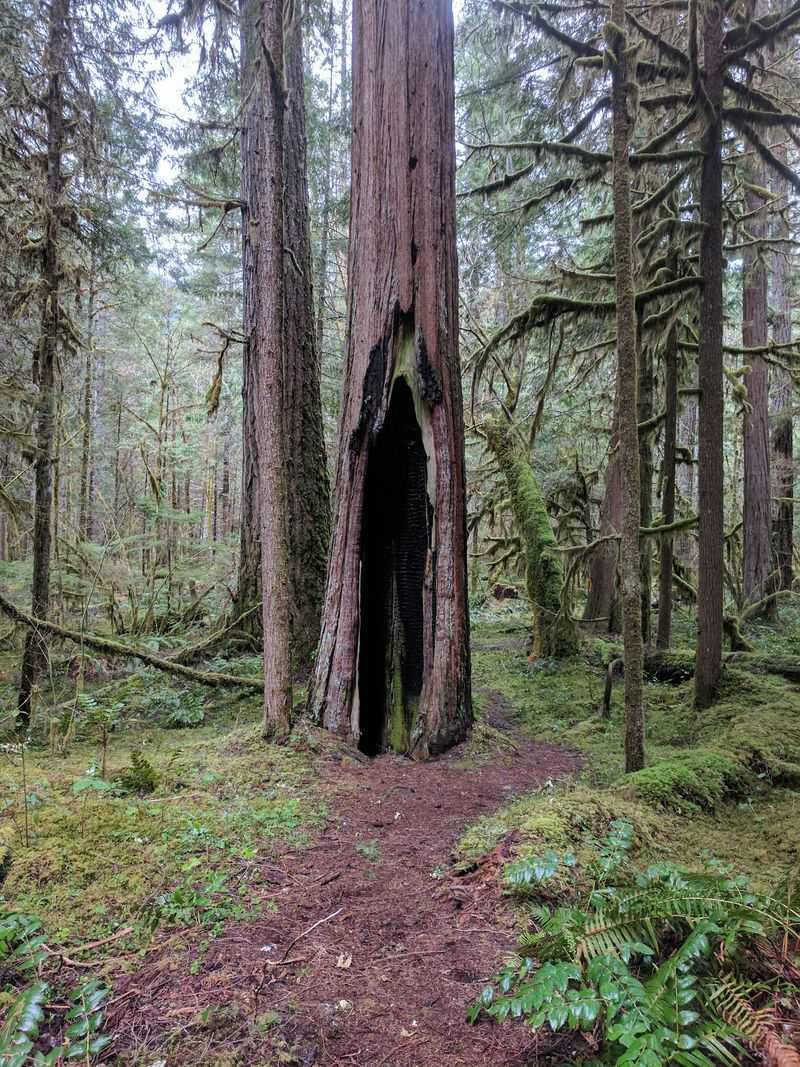 Lava Rock, Lakes, and Big Trees Lava Rock, Lakes, and Big Trees