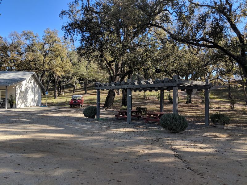 Lawn Games, Hawks, and Room for Kids