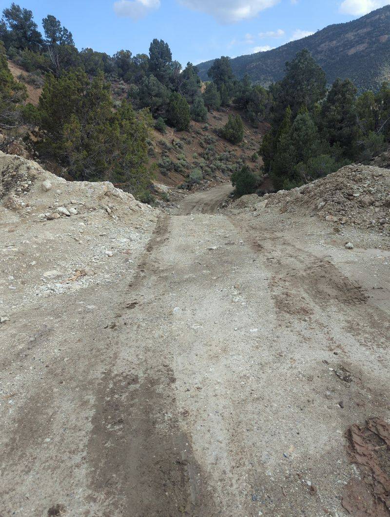 Leave No Trace on the Hill