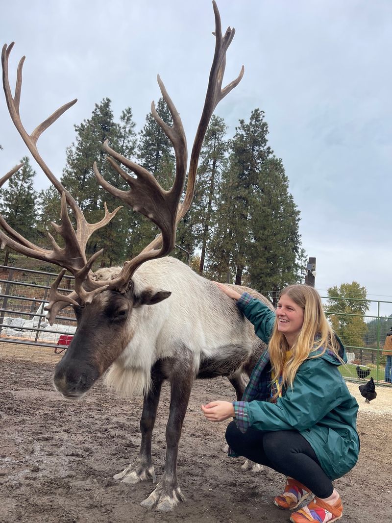 Leavenworth Reindeer Farm Leavenworth Reindeer Farm