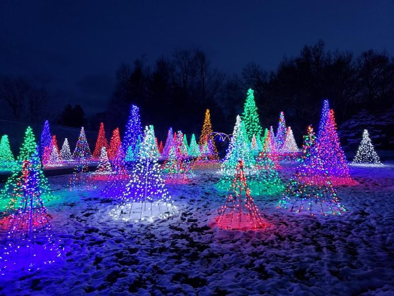Lego Displays, Art Installations, And Holiday Lights