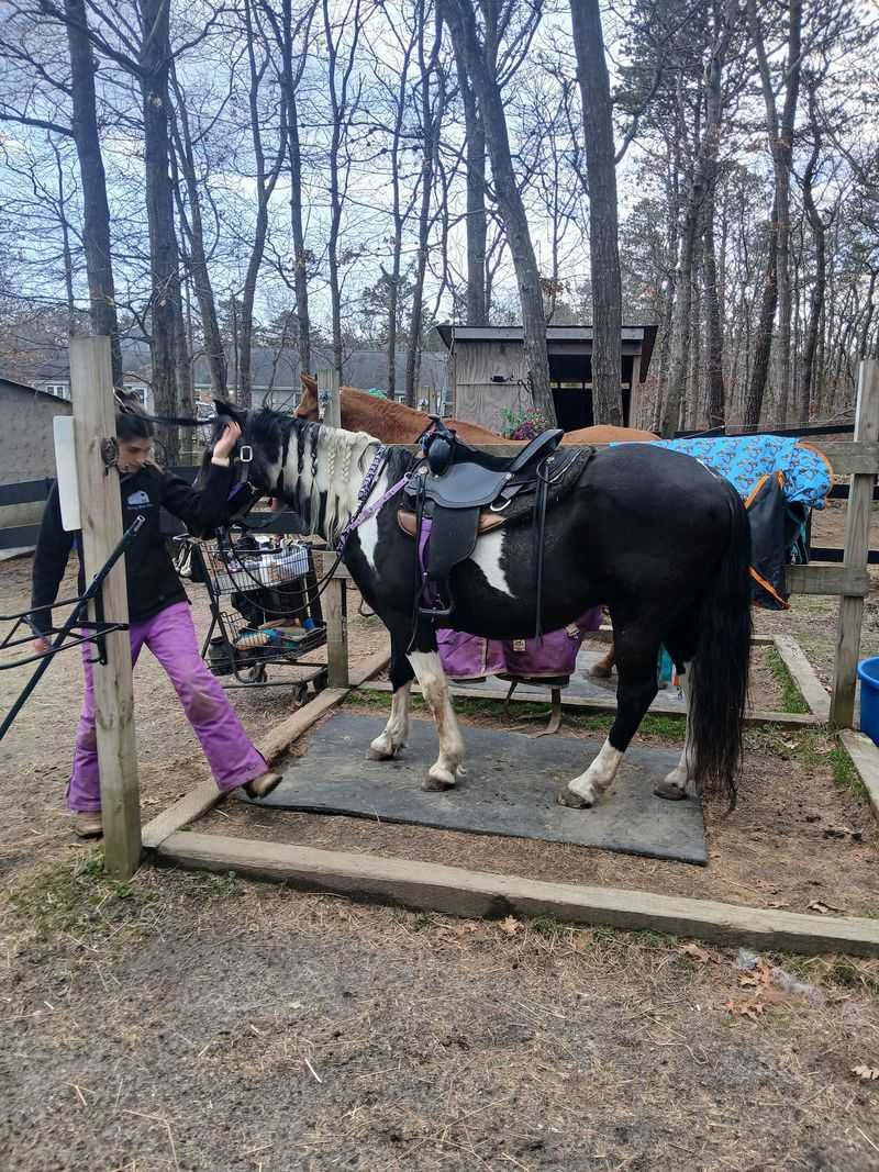 Lessons, Camps, and Boarding Lessons, Camps, and Boarding