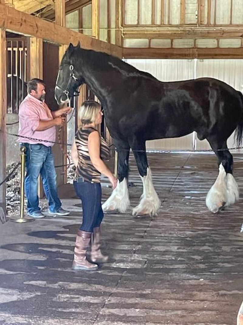Lessons From the Barn Aisle