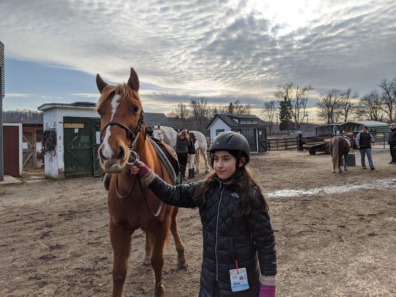 Lessons and Horse-Care Learning Lessons and Horse-Care Learning