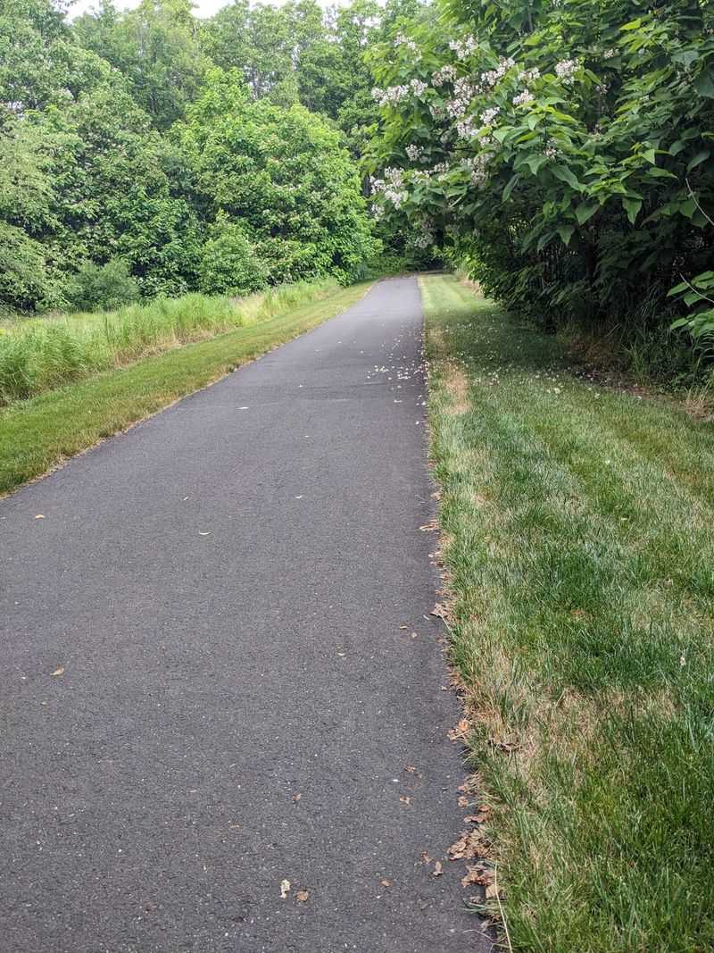 Level Pavement and an Easier Pace Level Pavement and an Easier Pace