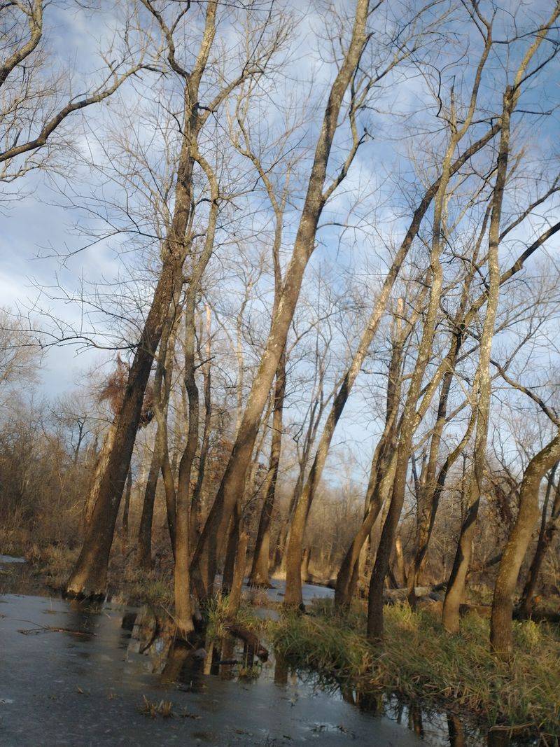 Life Inside the Deep Fork Refuge
