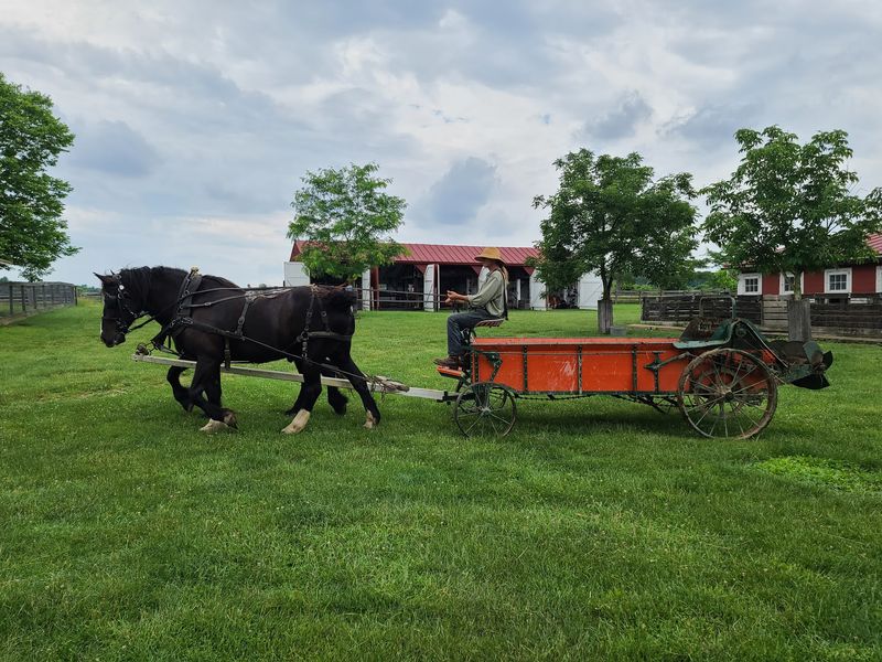 Life as It Was in the 1880s Life as It Was in the 1880s