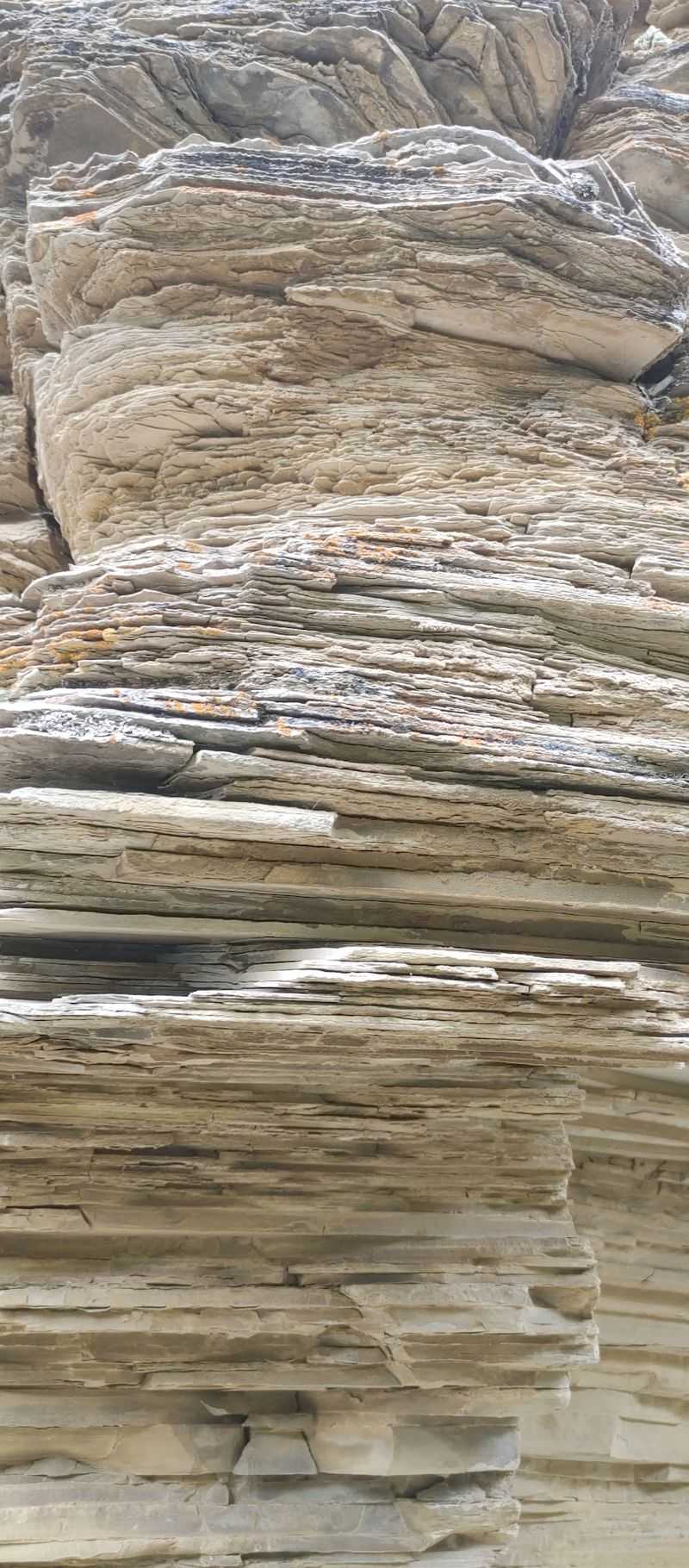 Limestone, Fossils, and a Famous Fish Limestone, Fossils, and a Famous Fish