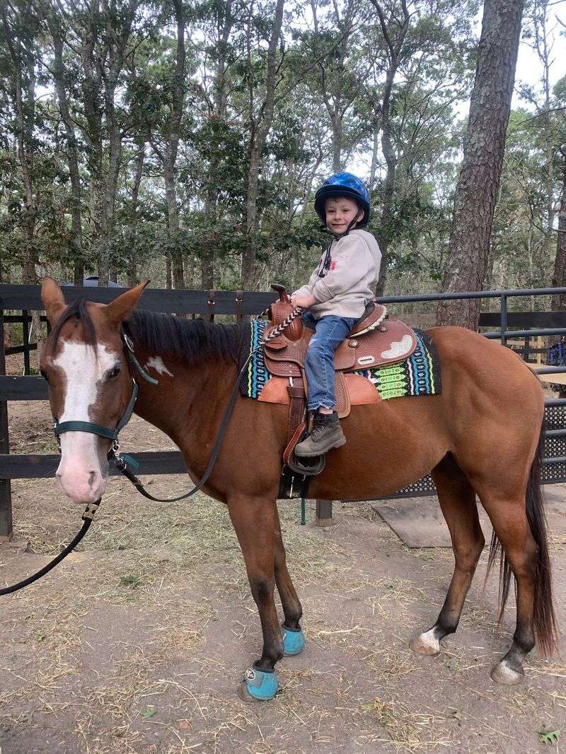 Little Riders and Mini Horse Adventures Little Riders and Mini Horse Adventures