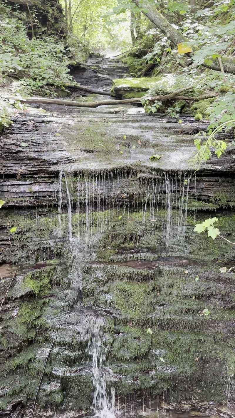 Little Waterfalls Hiding in the Hollows