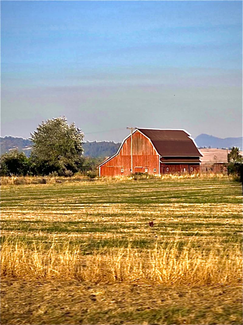 Livestock Barns, Oregon, Salem