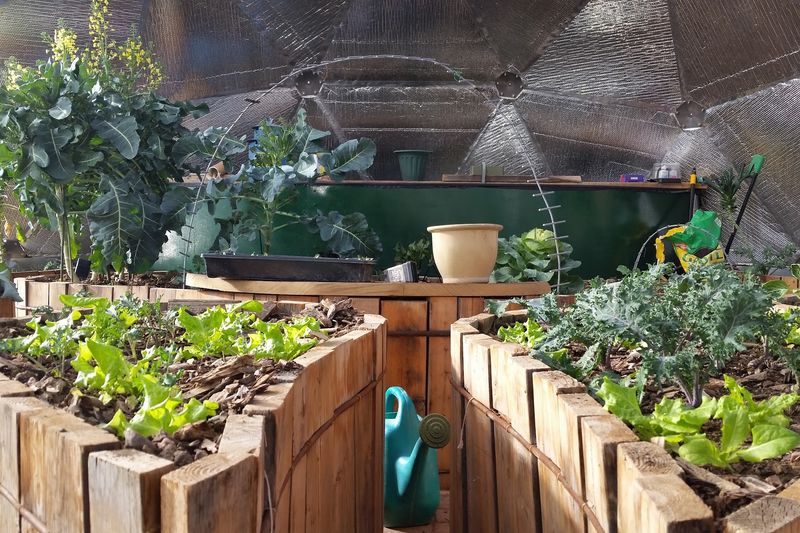 Living Off the Grid