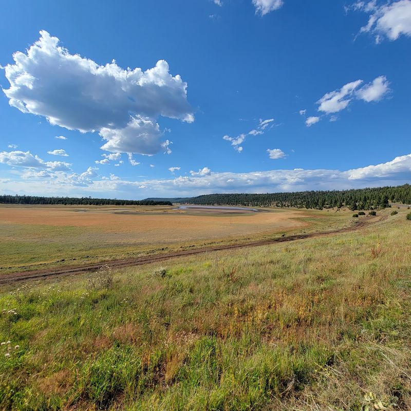 Living With Low Water Living With Low Water