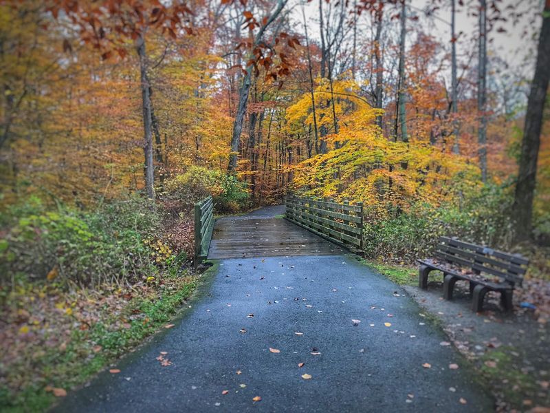 Loantaka Brook Reservation, Morristown, NJ