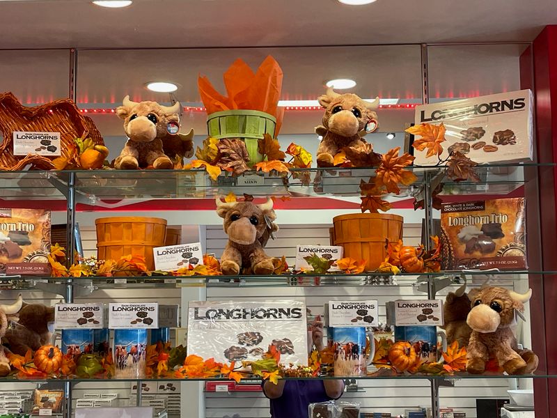 Longhorns on Longhorns Longhorns on Longhorns