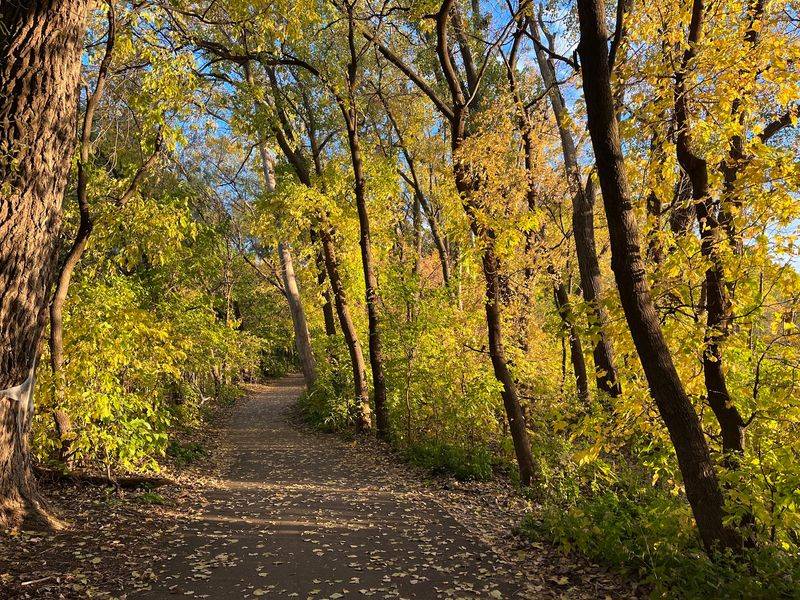 Looping Trails for Every Pace Looping Trails for Every Pace