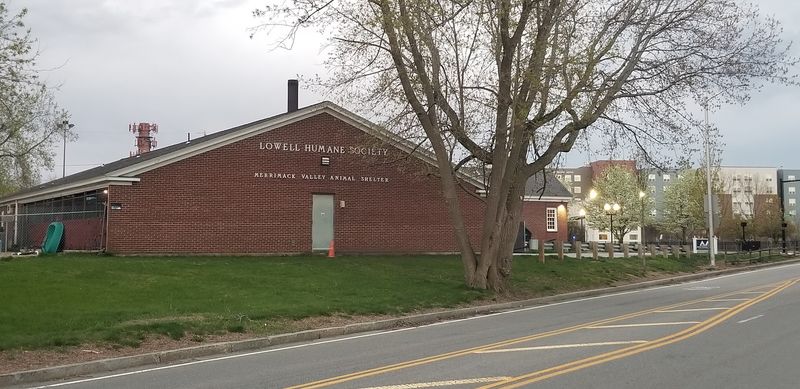 Lowell Humane Society, Lowell, MA Lowell Humane Society, Lowell, MA