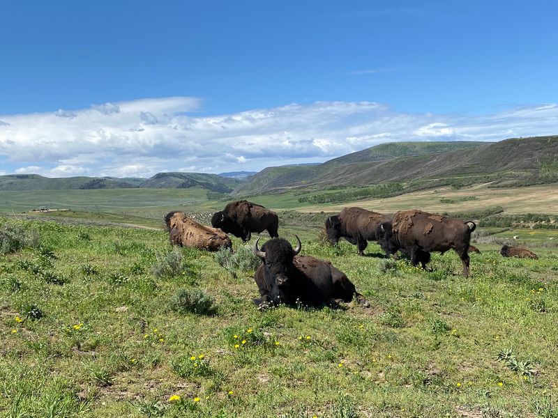 Lucky 8 Ranch, Oak Creek, Colorado