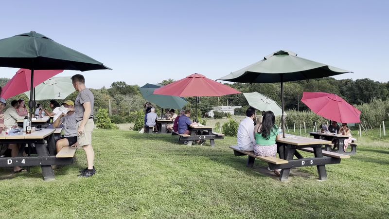 Lunch Options From Casual to Sit-Down Lunch Options From Casual to Sit-Down