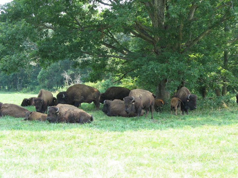 Lunch in the Shade Across the Road