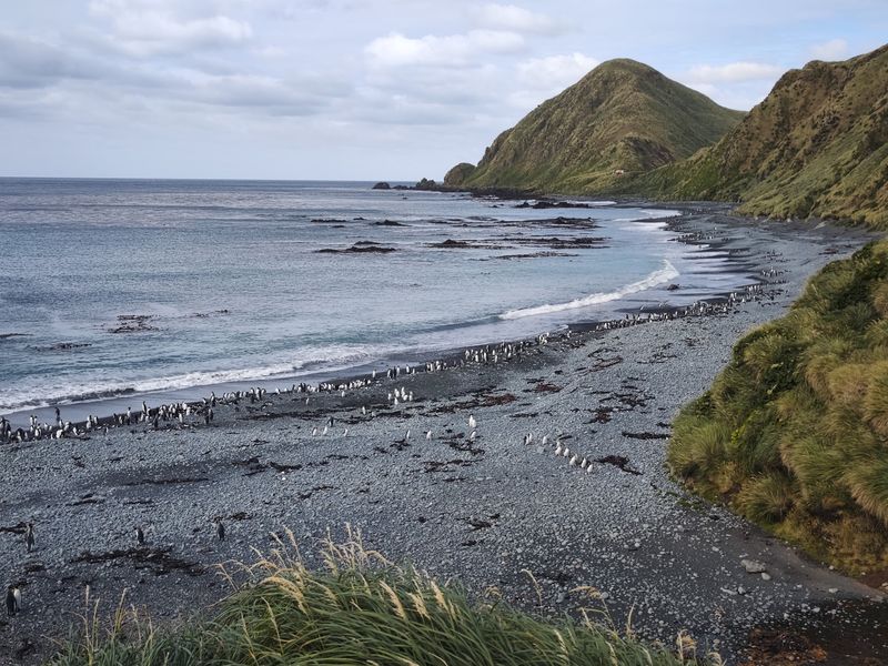 Macquarie Island Macquarie Island