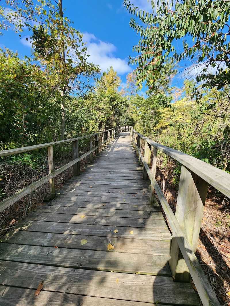 Magee Marsh Wildlife Area