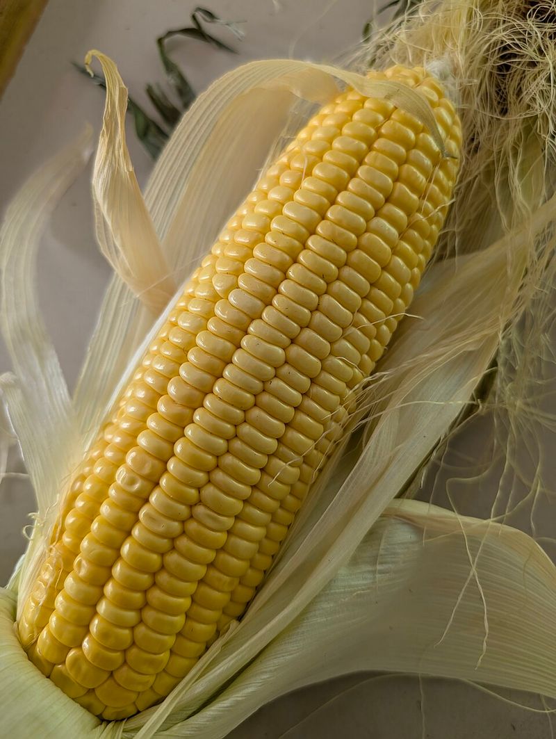 Maize (Corn)