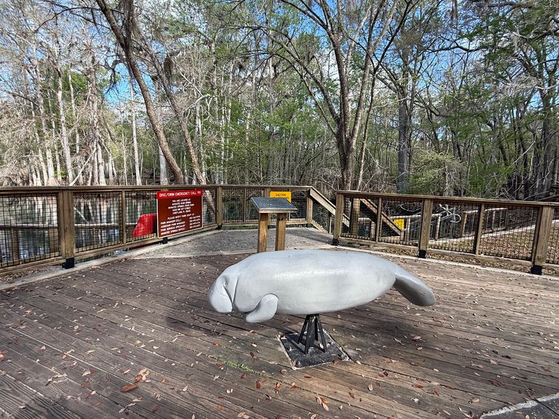 Manatee Springs State Park, Chiefland, FL Manatee Springs State Park, Chiefland, FL