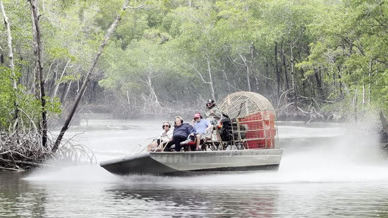 Mangrove Tunnels and Wide-Open Marsh Runs