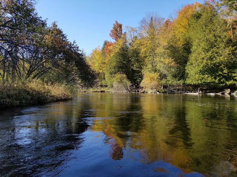 Manistee River, Michigan Manistee River, Michigan
