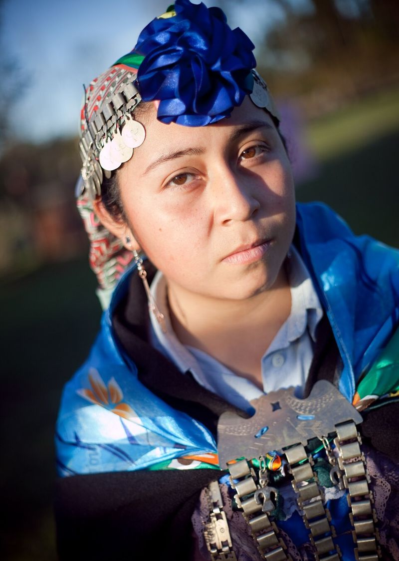 Mapuche Machi Traditions in Chile and Argentina Mapuche Machi Traditions in Chile and Argentina