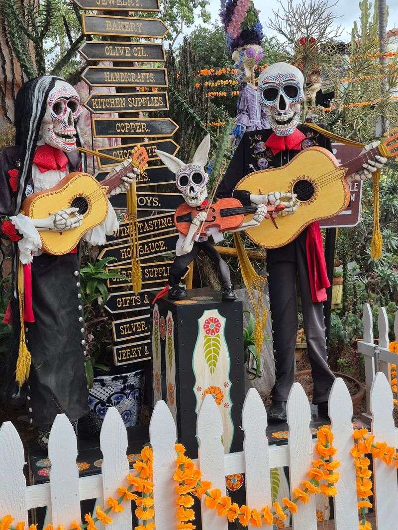Mariachi Weekends and Dia de los Muertos Mariachi Weekends and Dia de los Muertos