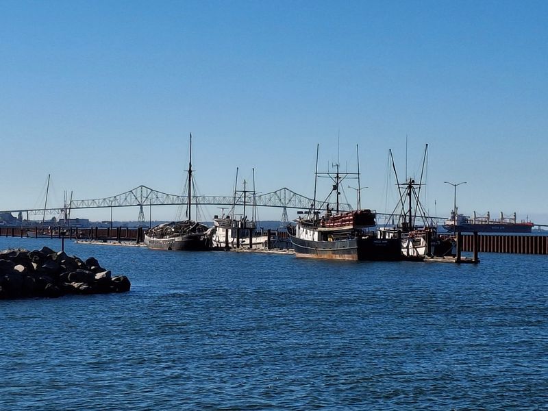 Marinas, Boatyards, and the Youngs River End