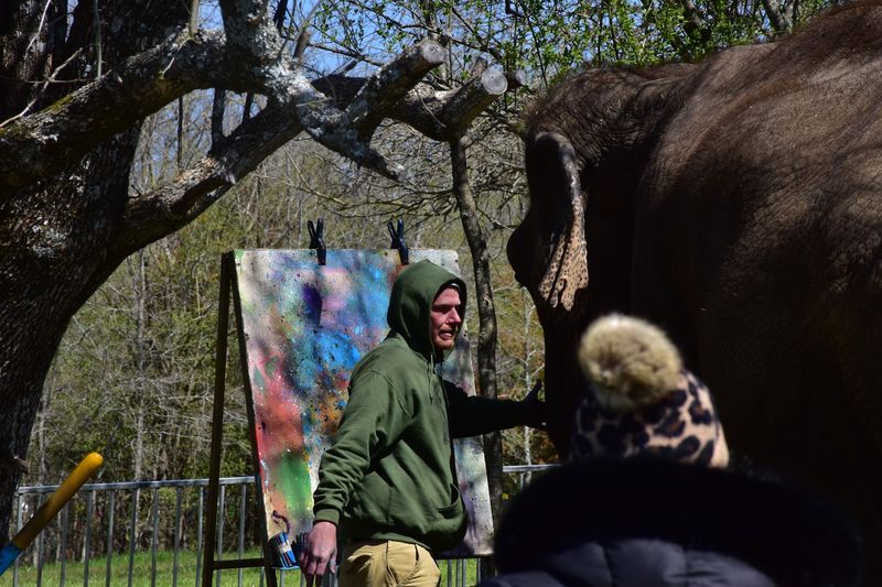 Masterpieces Made with a Trunk Masterpieces Made with a Trunk