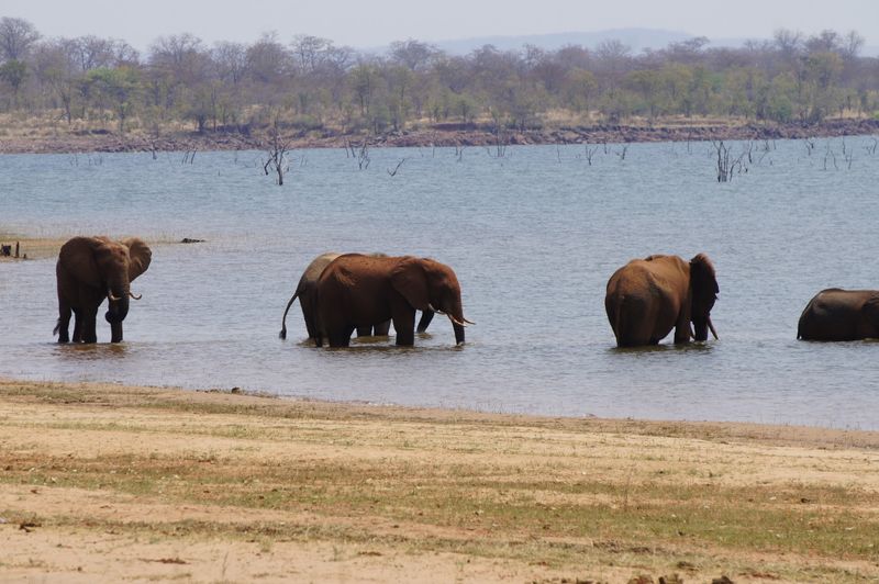 Matusadona National Park, Zimbabwe