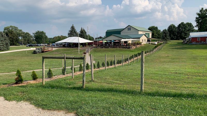 Meadow Views and Vineyard Rows