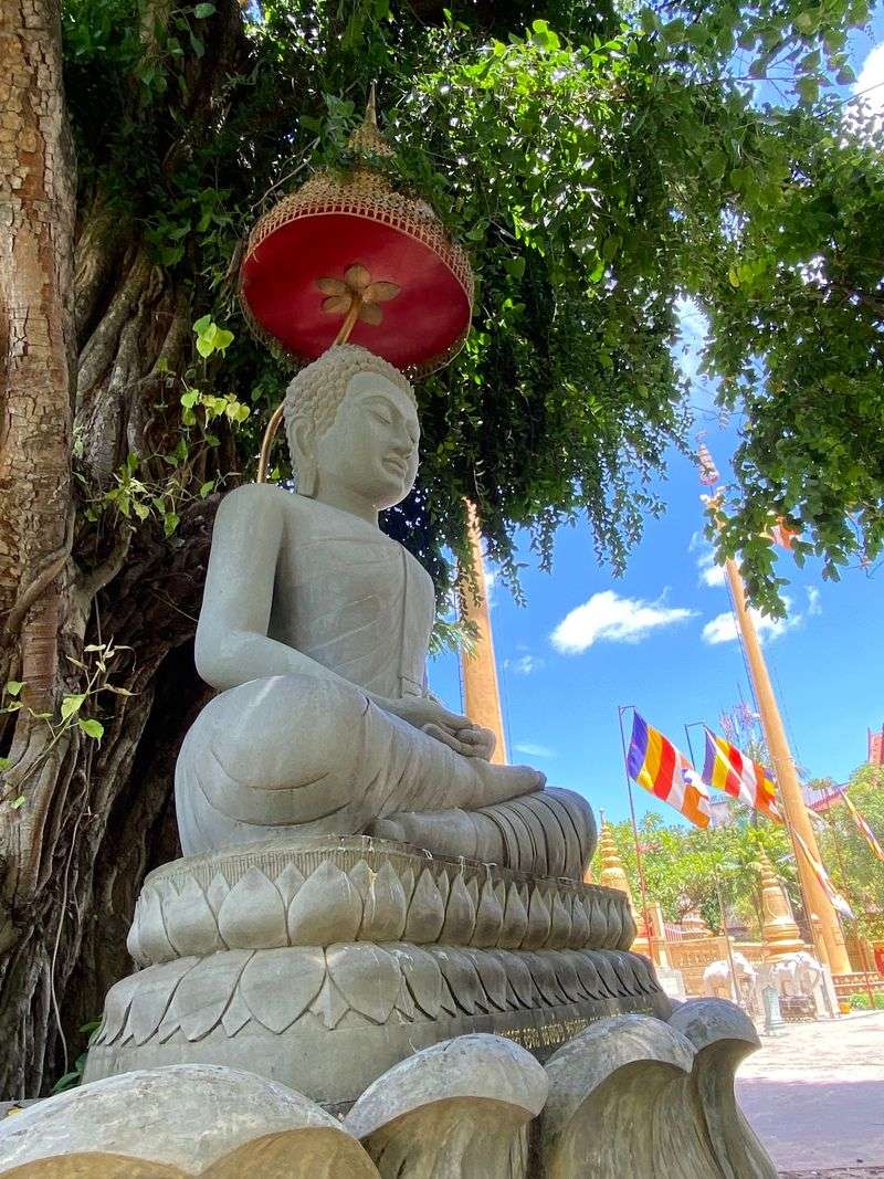 Meak Bochea Magic