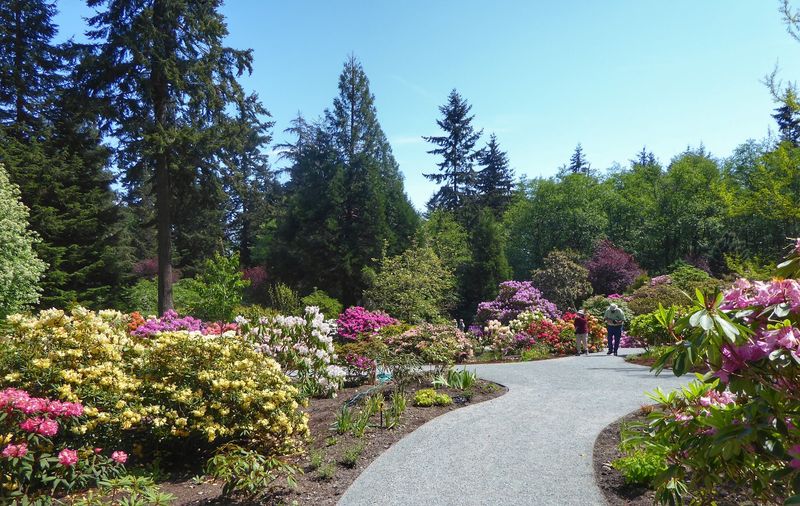 Meerkerk Gardens, Greenbank, Washington
