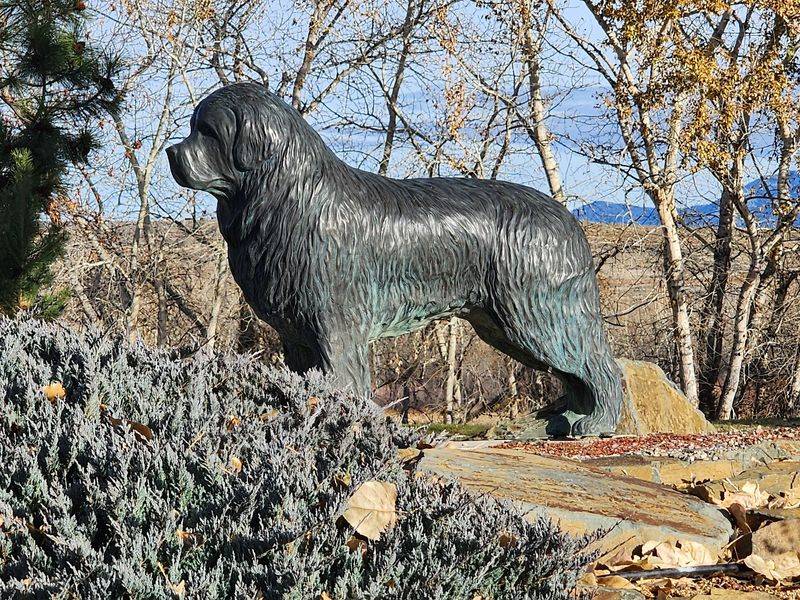 Meet Seaman, the Expedition's Most Famous Good Boy Meet Seaman, the Expedition's Most Famous Good Boy