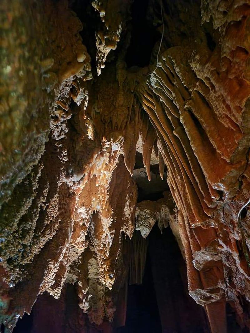 Meet the Cave With a Reef Inside