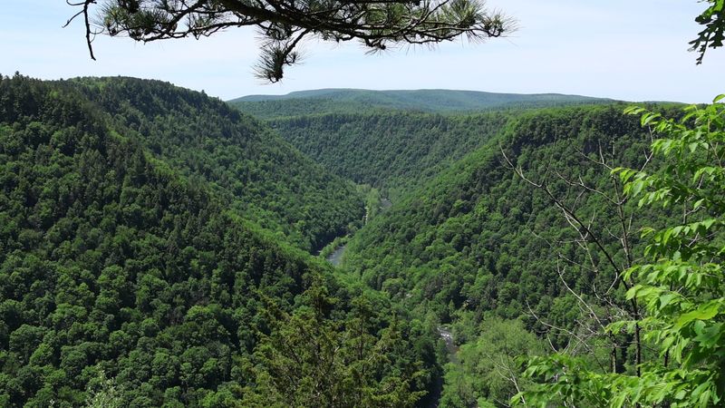 Meet the Grand Canyon of Pennsylvania