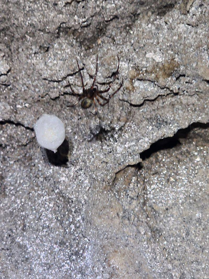 Meet the Neighbors Who Live in the Dark