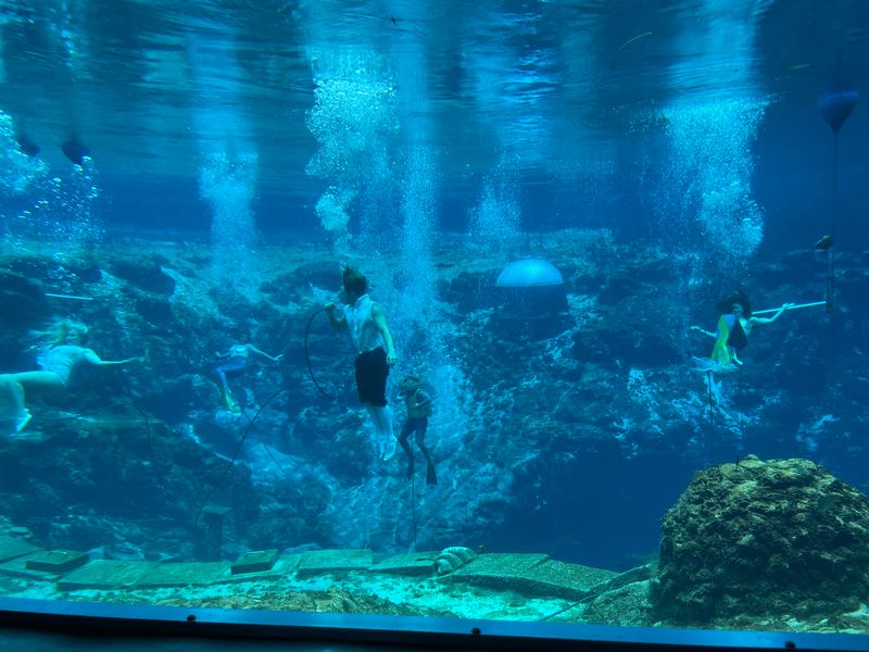 Mermaids in the Underwater Theater Mermaids in the Underwater Theater