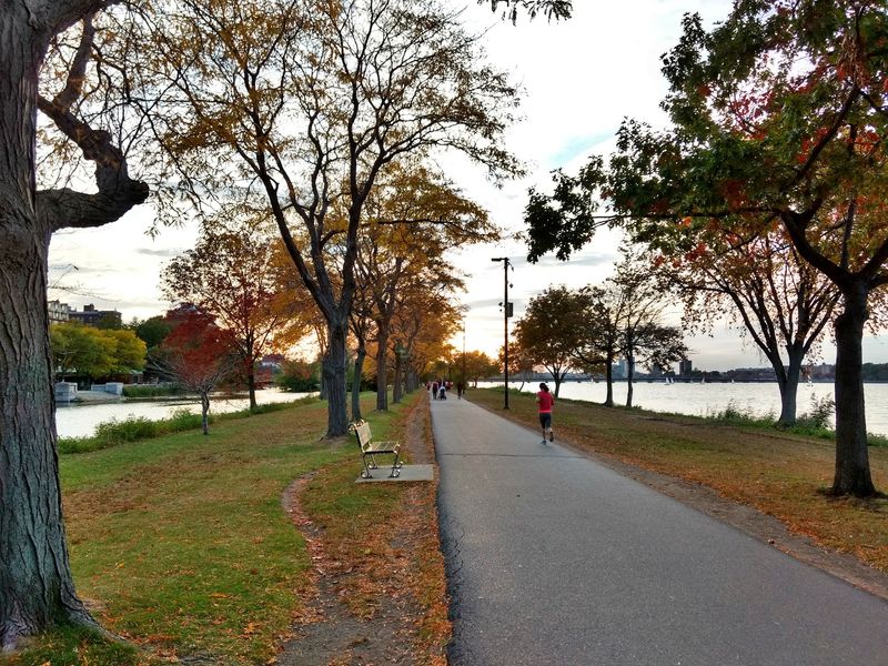 Miles Of Pavement Built For Wheels And Sneakers