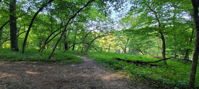 Miles Of Trails Wait For Your Boots