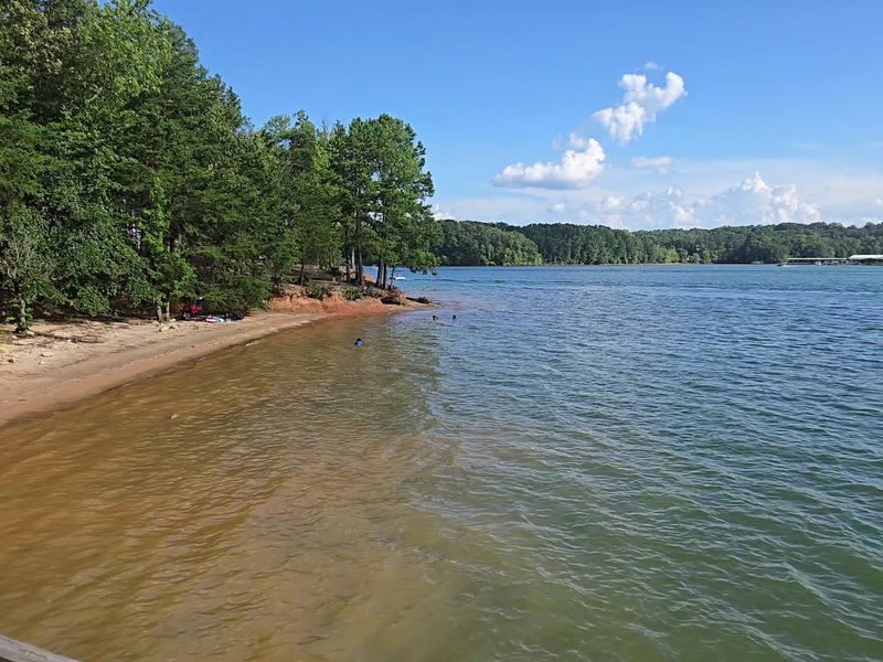 Miles and Miles of Shoreline