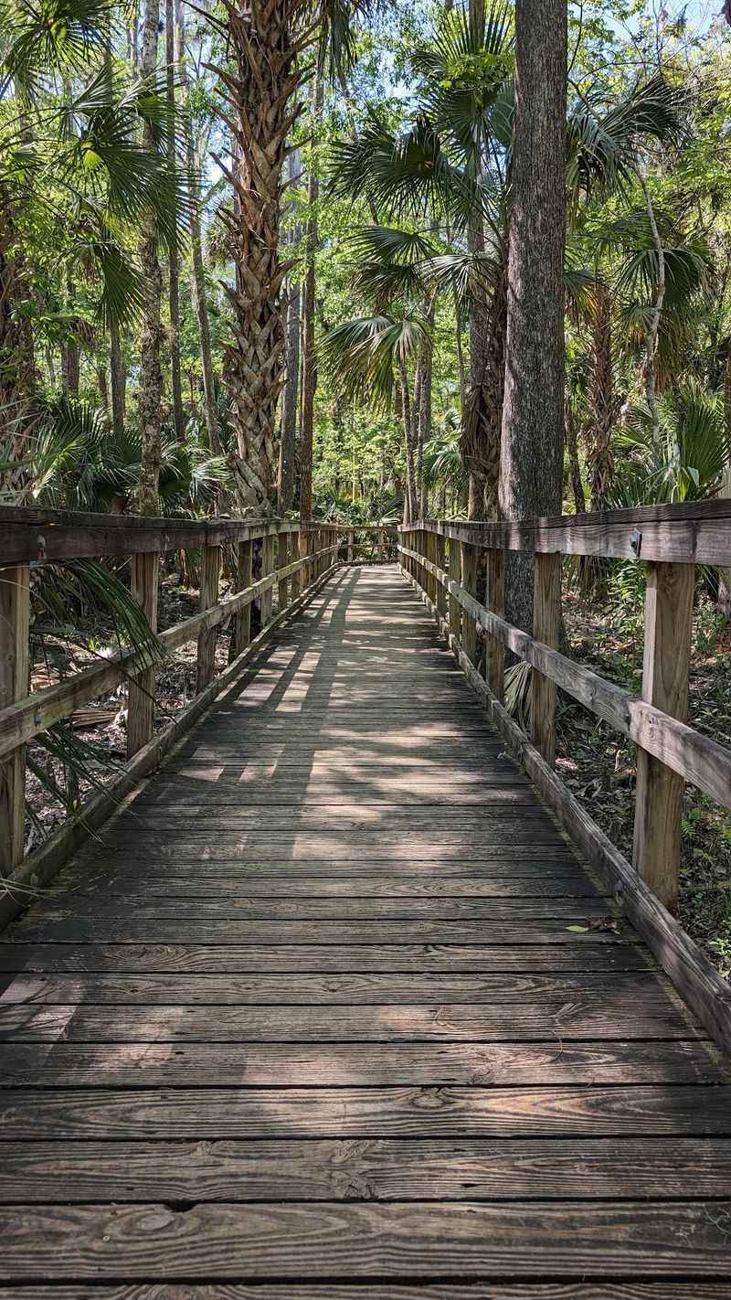 Miles of Shaded Trails Worth Lacing Up For Miles of Shaded Trails Worth Lacing Up For