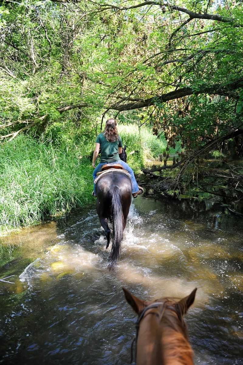 Millbrook Trail Rides - Rides by appointment only, Newark, IL Millbrook Trail Rides - Rides by appointment only, Newark, IL