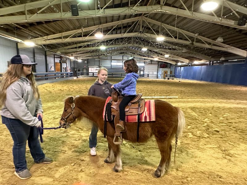 Mini Ponies, Pony Rides, And A Cart Parade Indoors Mini Ponies, Pony Rides, And A Cart Parade Indoors